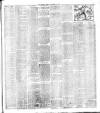 Sutton Coldfield and Erdington Mercury Saturday 24 November 1894 Page 3