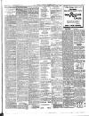 Sutton Coldfield and Erdington Mercury Saturday 10 March 1900 Page 7