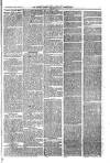 Essex Times Wednesday 28 August 1867 Page 3