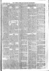 Essex Times Wednesday 20 January 1869 Page 5