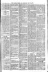 Essex Times Wednesday 24 February 1869 Page 5