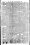 Essex Times Wednesday 24 February 1869 Page 7