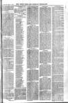 Essex Times Wednesday 17 March 1869 Page 5