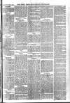 Essex Times Wednesday 31 March 1869 Page 7