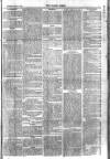 Essex Times Saturday 21 August 1869 Page 5