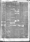 Essex Times Saturday 12 February 1876 Page 5