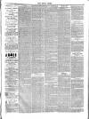 Essex Times Saturday 08 April 1876 Page 3