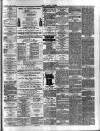 Essex Times Saturday 05 July 1879 Page 3