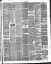 Essex Times Saturday 10 July 1880 Page 5