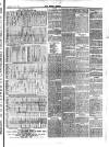 Essex Times Saturday 22 January 1881 Page 3