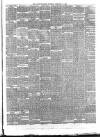 Larne Reporter and Northern Counties Advertiser Saturday 18 February 1888 Page 3