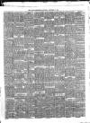Larne Reporter and Northern Counties Advertiser Saturday 01 December 1888 Page 3