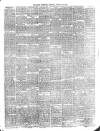 Larne Reporter and Northern Counties Advertiser Saturday 12 January 1889 Page 3