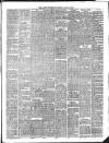 Larne Reporter and Northern Counties Advertiser Saturday 12 April 1890 Page 3