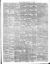 Larne Reporter and Northern Counties Advertiser Saturday 05 July 1890 Page 3