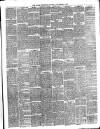 Larne Reporter and Northern Counties Advertiser Saturday 01 November 1890 Page 3