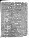 Larne Reporter and Northern Counties Advertiser Saturday 14 February 1891 Page 3