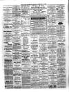 Larne Reporter and Northern Counties Advertiser Saturday 13 February 1892 Page 4