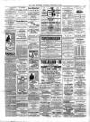 Larne Reporter and Northern Counties Advertiser Saturday 18 February 1893 Page 4