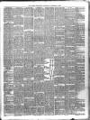 Larne Reporter and Northern Counties Advertiser Saturday 18 November 1893 Page 3