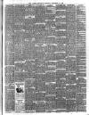 Larne Reporter and Northern Counties Advertiser Saturday 21 December 1895 Page 3