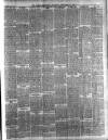 Larne Reporter and Northern Counties Advertiser Saturday 21 December 1901 Page 3
