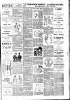 Beckenham Journal Saturday 11 April 1891 Page 3