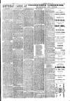 Beckenham Journal Saturday 04 July 1891 Page 3