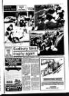 Suffolk and Essex Free Press Thursday 18 February 1982 Page 31