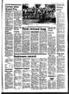 Suffolk and Essex Free Press Thursday 19 March 1987 Page 37