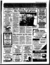 Suffolk and Essex Free Press Thursday 24 August 1995 Page 19