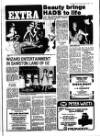Haverhill Echo Thursday 04 February 1982 Page 15