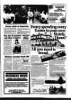 Haverhill Echo Thursday 01 April 1982 Page 7