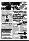 Haverhill Echo Thursday 01 April 1982 Page 15