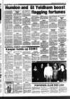 Haverhill Echo Thursday 01 April 1982 Page 39