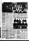 Haverhill Echo Thursday 15 April 1982 Page 25