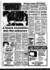 Haverhill Echo Thursday 29 April 1982 Page 13