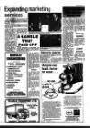Haverhill Echo Thursday 29 April 1982 Page 41