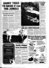 Haverhill Echo Thursday 10 June 1982 Page 7