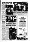 Haverhill Echo Thursday 10 June 1982 Page 17