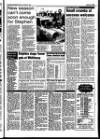 Spalding Guardian Friday 15 January 1993 Page 31