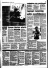 Spalding Guardian Friday 13 January 1995 Page 38