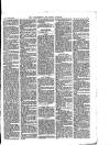 Walthamstow and Leyton Guardian Saturday 17 June 1876 Page 3