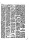 Walthamstow and Leyton Guardian Saturday 24 June 1876 Page 3