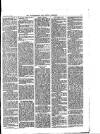 Walthamstow and Leyton Guardian Saturday 01 July 1876 Page 3