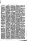 Walthamstow and Leyton Guardian Saturday 08 July 1876 Page 3