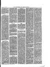 Walthamstow and Leyton Guardian Saturday 22 July 1876 Page 3