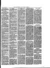 Walthamstow and Leyton Guardian Saturday 29 July 1876 Page 3