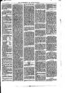 Walthamstow and Leyton Guardian Saturday 05 August 1876 Page 3