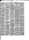 Walthamstow and Leyton Guardian Saturday 02 September 1876 Page 3
